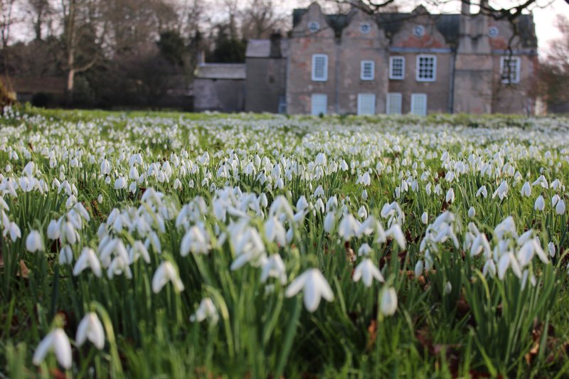 Winter at Norton Conyers